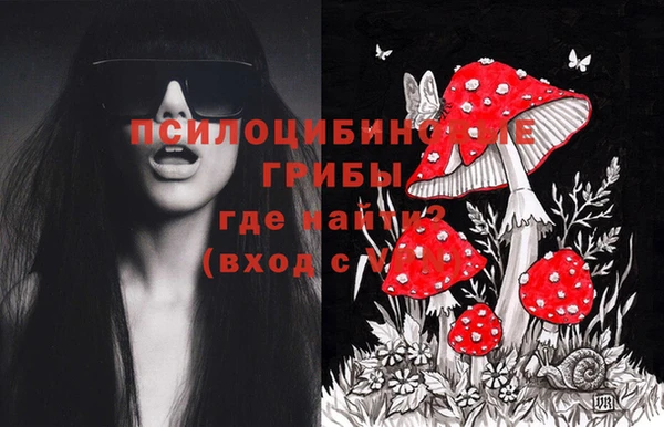 метадон Алексеевка