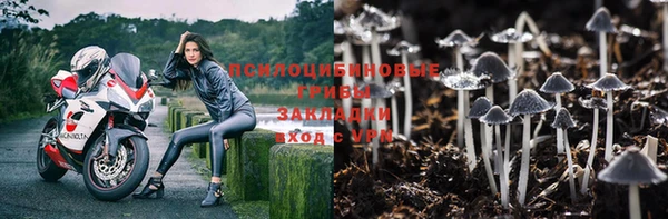 СК Алексин