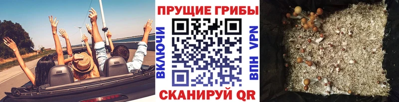 Галлюциногенные грибы мицелий Новопавловск
