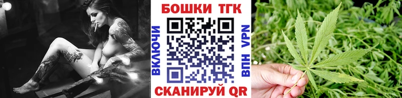 купить Новопавловск Каннабис сатива